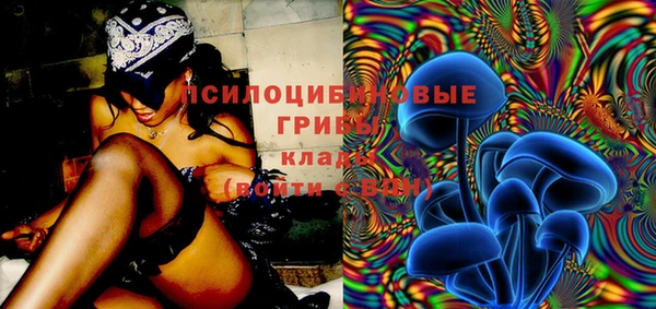 гашик Вязьма