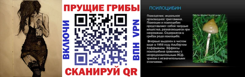 Галлюциногенные грибы GOLDEN TEACHER  OMG маркетплейс  маркетплейс наркотические препараты  Звенигород 